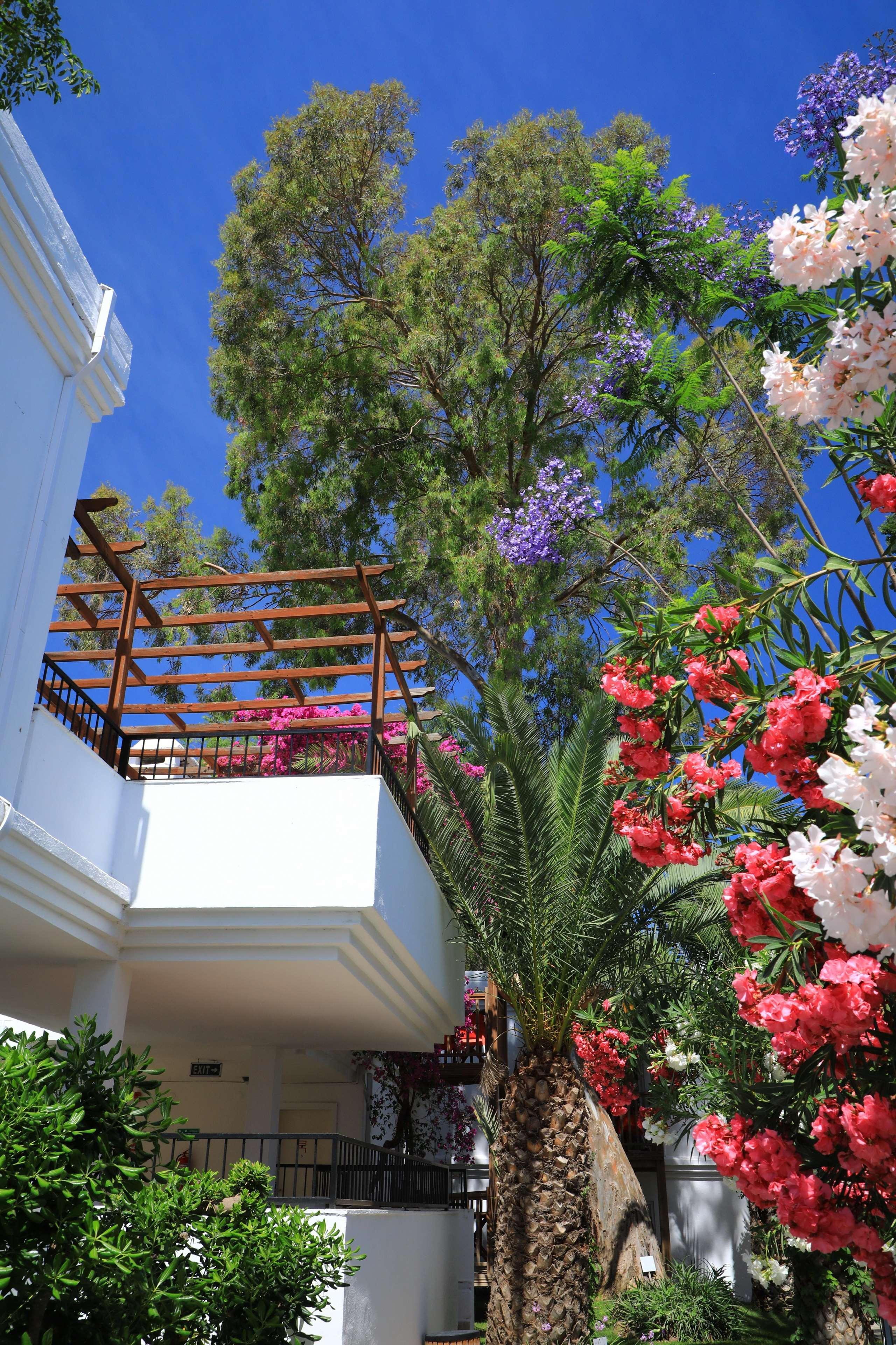 Marvida Senses Very Chic Bodrum Adult Only Hotel 5*