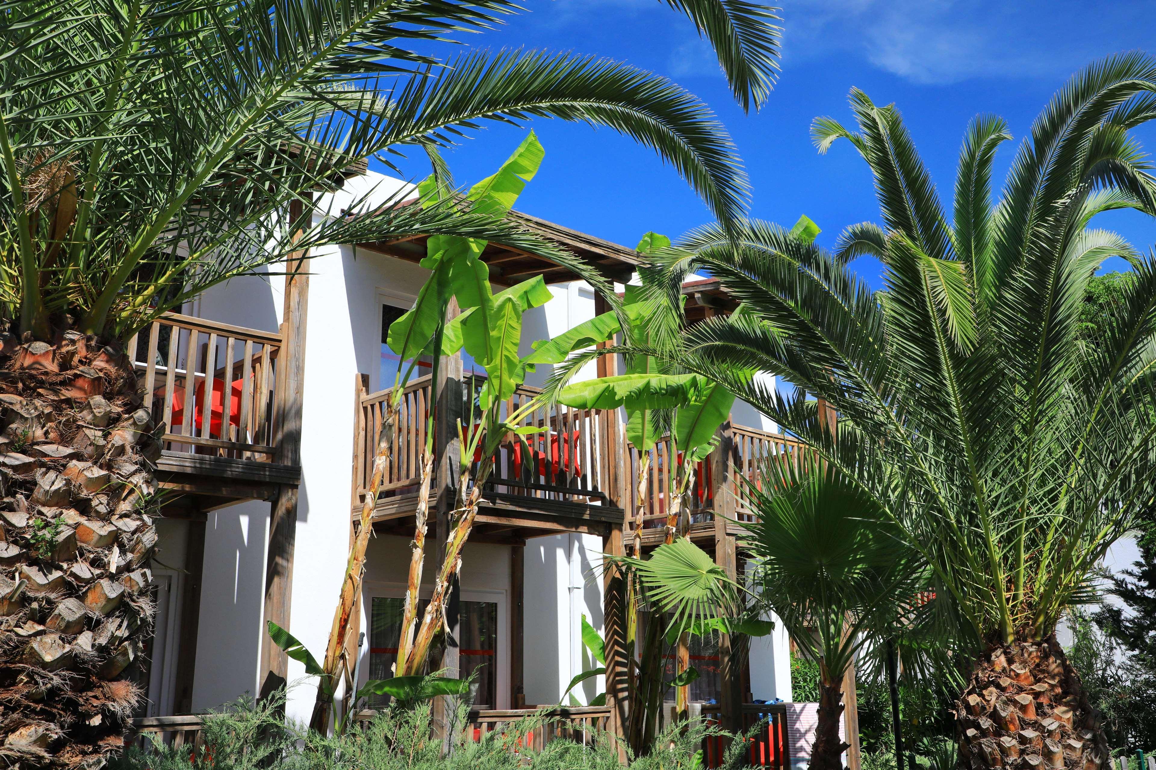 Marvida Senses Very Chic Bodrum Adult Only Hotel